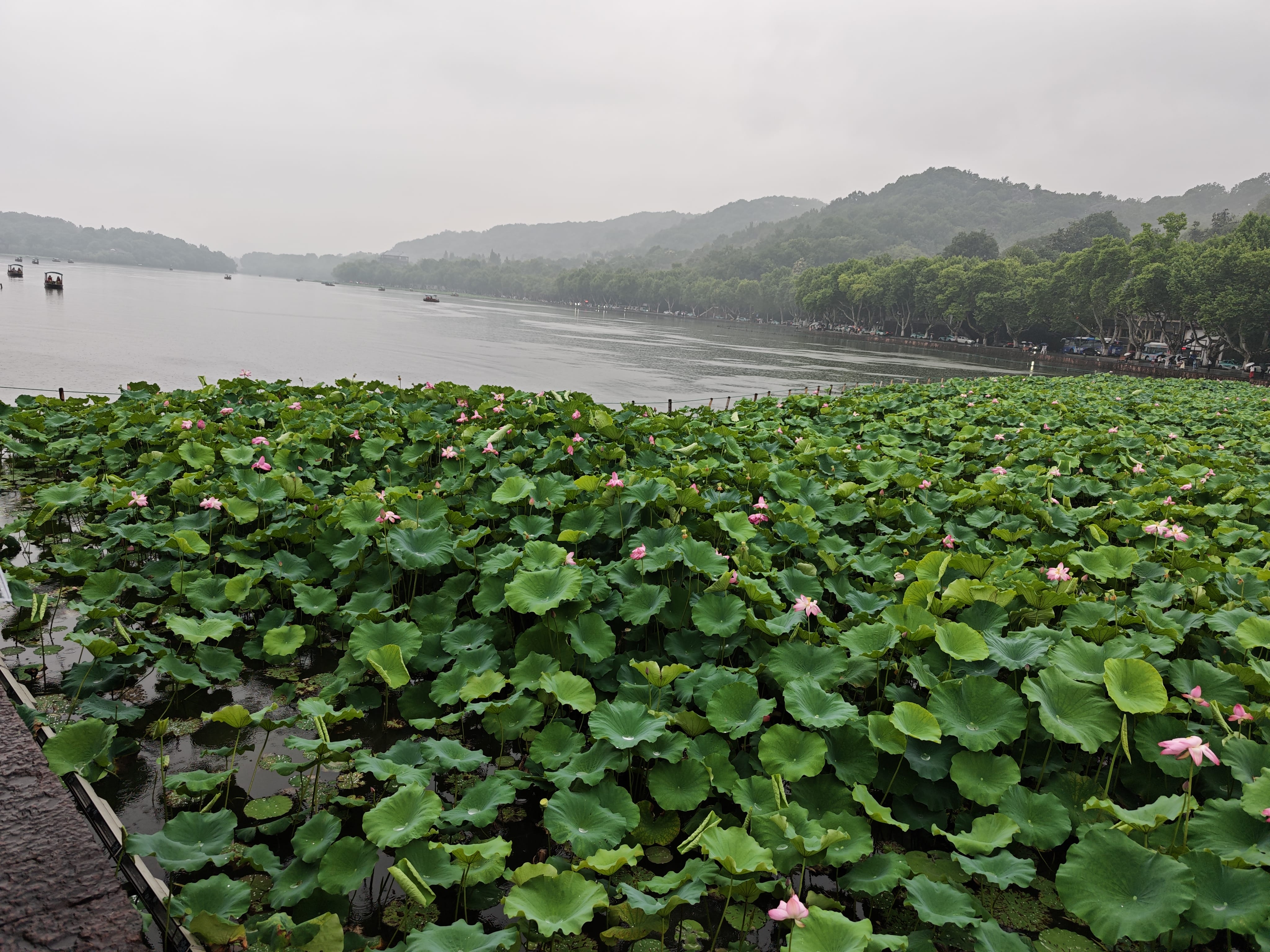 西湖3